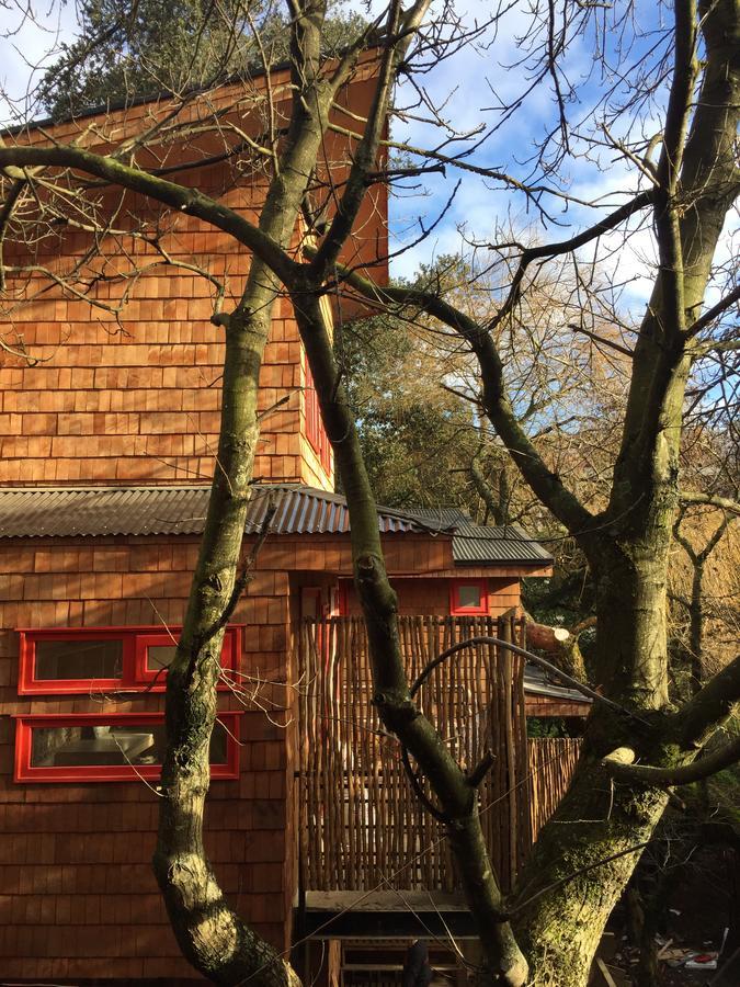 Almabosque Cabanas Пуэрто-Варас Экстерьер фото