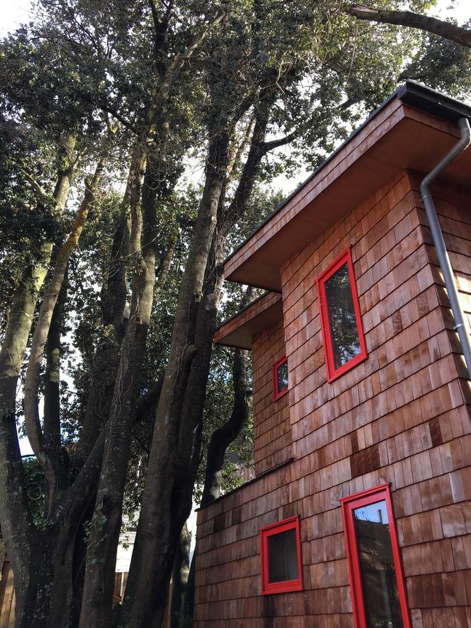 Almabosque Cabanas Пуэрто-Варас Экстерьер фото