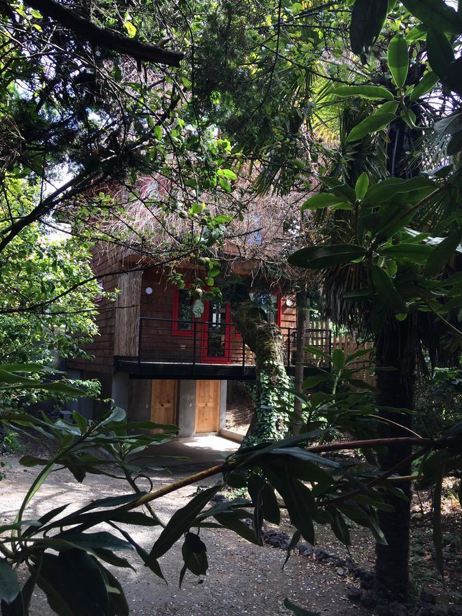Almabosque Cabanas Пуэрто-Варас Экстерьер фото